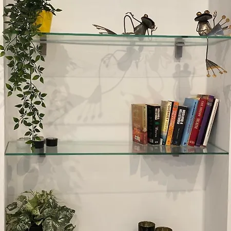 Ap310 - Colon Bajo נרחה